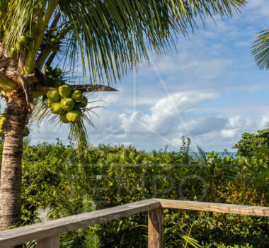 09 CasaSantaRita Tempo Trancoso