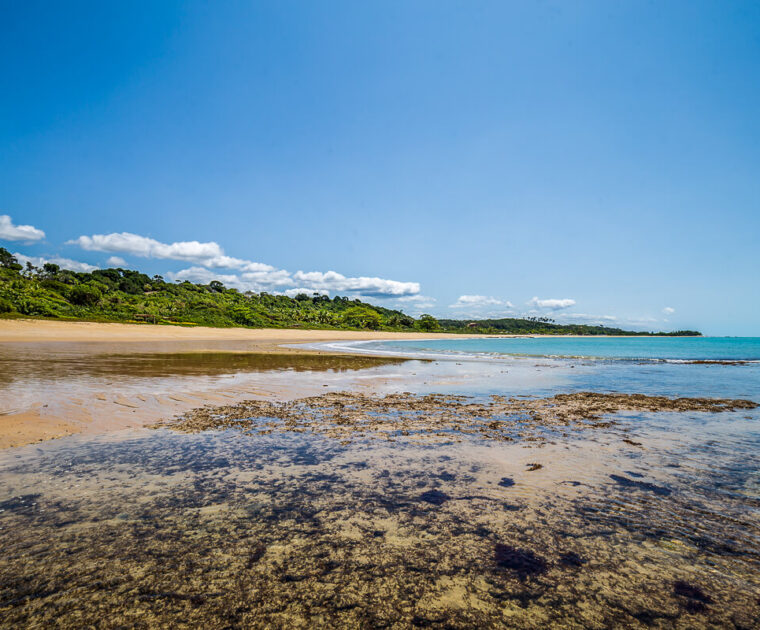 Praia de Patimirim