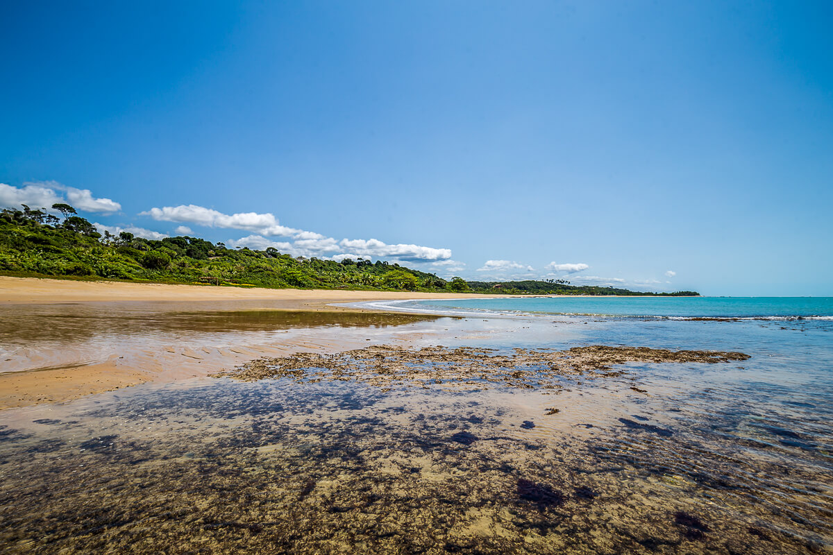 Praia de Patimirim